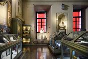 museo di storia naturale bologna 8-2022 4145
